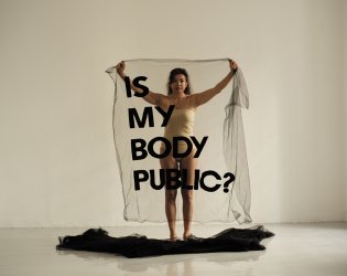 Alicia Framis. Is my body public?