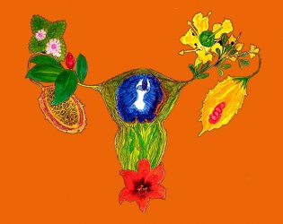 Pacha Manas