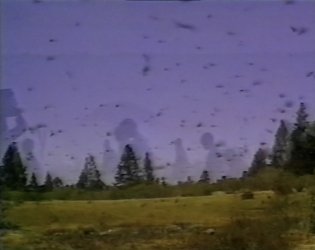 Siempre el pasto del vecino es más verde, 1997