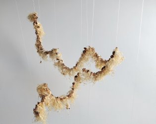 Plastic Food